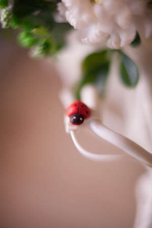 Decor for a bouquet of flowers.の写真素材