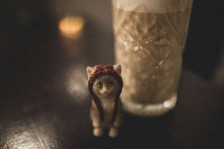 Cute cat souvenir dark color