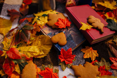 autumn leaves and handmade cookies on the background of books and a blanket.
