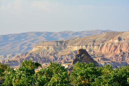 Landscape view of Capitol Reef National Park in United States of Americaの写真素材