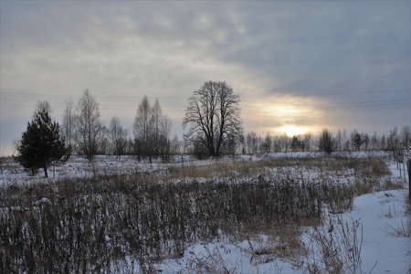 Early spring sunsetの写真素材