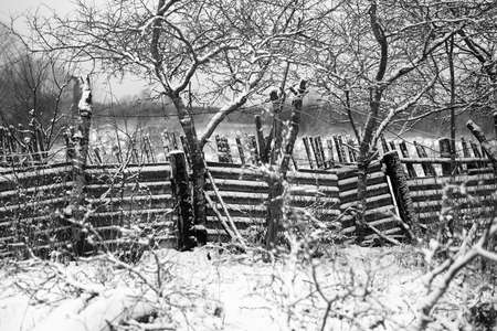 old fenceの写真素材