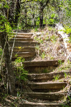 Nature Stairs Walkway Abandoned Sunnyの写真素材