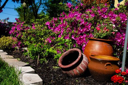 Asian Garden with Pot and Flowers