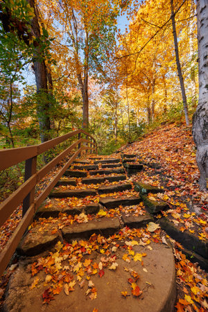 Winding Stone Steps in Autumn Forestの写真素材