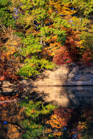 Autumn Forest Reflections in Calm Waterの写真素材
