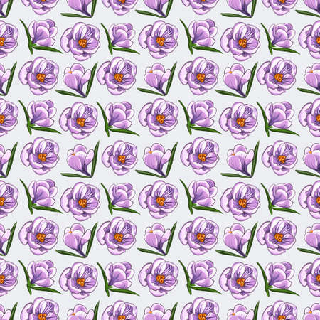 Seamless pattern with purple crocuses.の写真素材