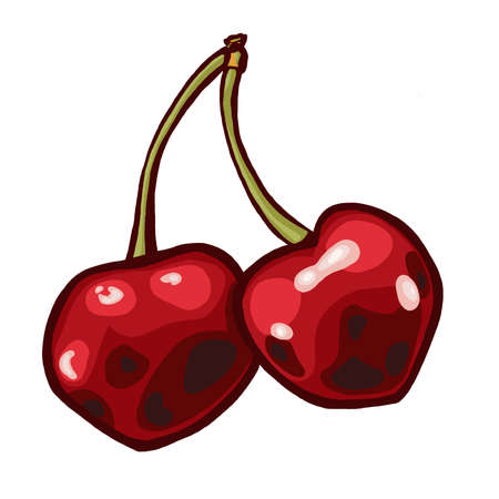 Red cherry illustration isolated on a white background