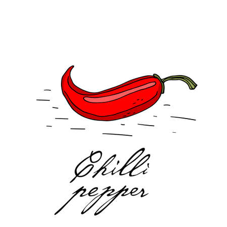 Poster with hand drawn chilli pepper isolate on a white background.のイラスト素材