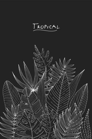 Poster with hand drawn tropical or forest leaves of white skeich on a black chalkboard background, oval or ovoid type, with the inscription: tropical. Vector composition isolated on a white backgroundのイラスト素材