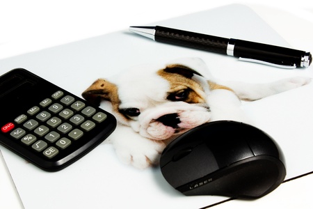 wireless computer mouse, pen on white background の写真素材