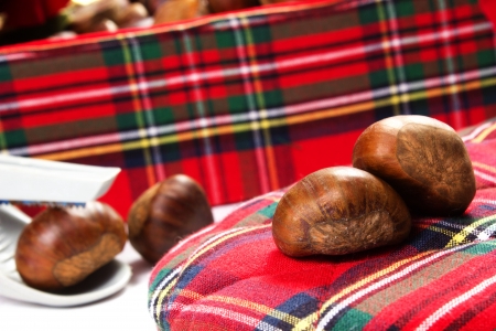 chestnuts on a white backgroundの写真素材