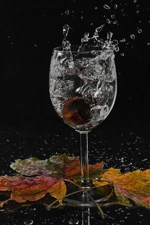 chestnut dropped in a glass of waterの写真素材