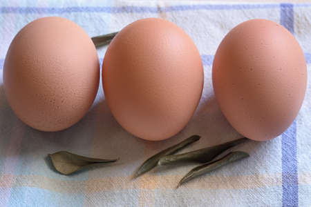 Three eggs lined up on an old cloth of fabric