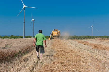 man follow harvester to work in wheat fieldの写真素材