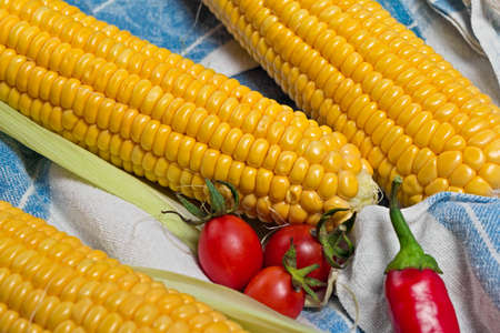 Three yellow cobs with tomato and chili pepper on clothの写真素材