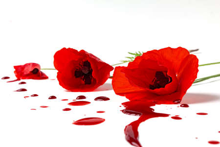 three red poppies with bloody