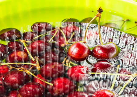 cherries immersed in waterの写真素材