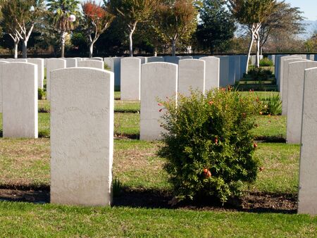 some tombs of the cemetery with tombstones whiteの写真素材