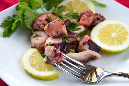 octopus salad with olive oil,lemon and parsleyの写真素材