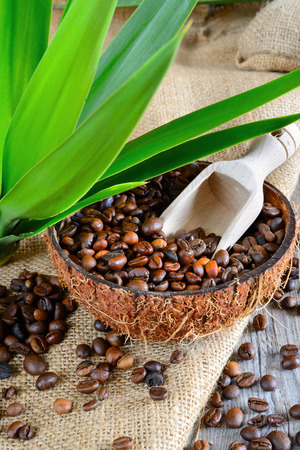 half coconut emptied with beans of black coffeeの写真素材