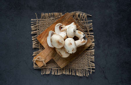 fresh freshly picked champignon mushrooms on dark gray abstract background