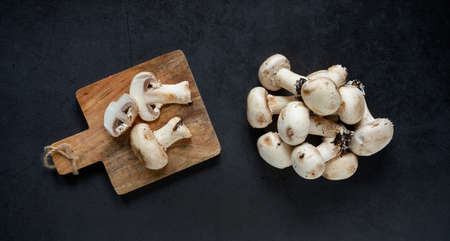 fresh freshly picked champignon mushrooms on dark gray abstract backgroundの写真素材