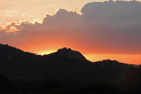 Landscape of a game reserve with the sun on the horizon.の写真素材