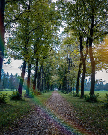 view of the park of monza in the autumn season with green meadows and treesの写真素材