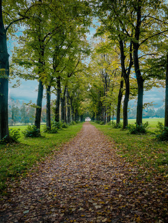 view of the park of monza in the autumn season with green meadows and treesの写真素材