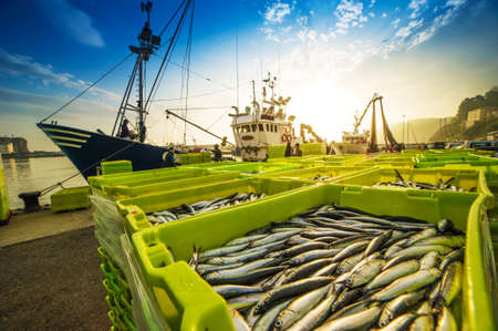 Fishing vessel with close-up of its catchの写真素材