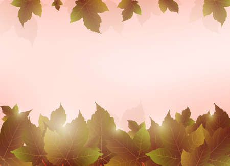Leaves backgroundのイラスト素材