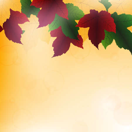 Leaves backgroundのイラスト素材