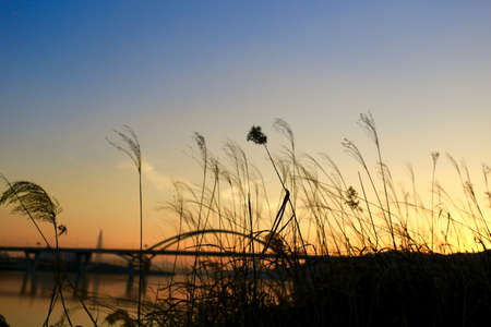 sunset sky
