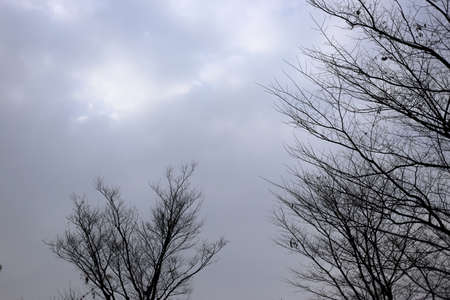 sky