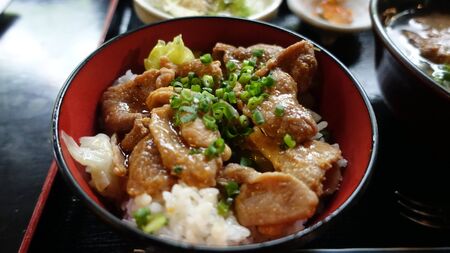 Stir-fry with chicken meat, vegetables and rice in bowl on dark stone background copy spaceの写真素材