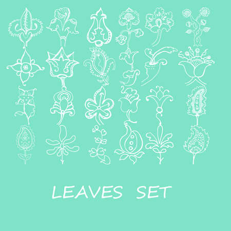 Vector branches and leaves. Hand drawn floral elements.のイラスト素材