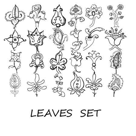 Vector branches and leaves. Hand drawn floral elements.のイラスト素材