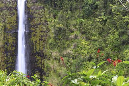 Akaka waterfallの素材