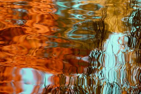 Autumn reflection