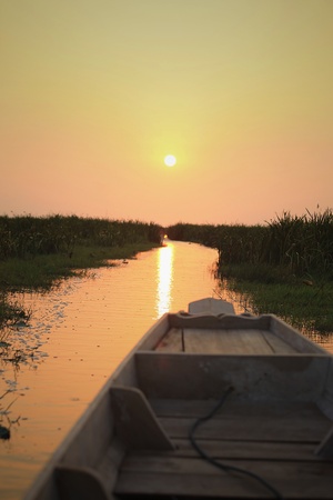 Sunrise at the lake with silhouette bushes and wooden boatの素材