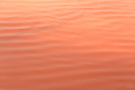 Red nature backgroundの素材