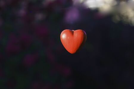 Love concept, heart shape with Bokeh backgroundの素材