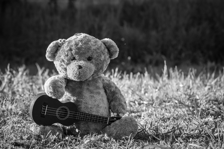 Toy teddy bear holding ukulele sitting on the green grass in the background natureの写真素材