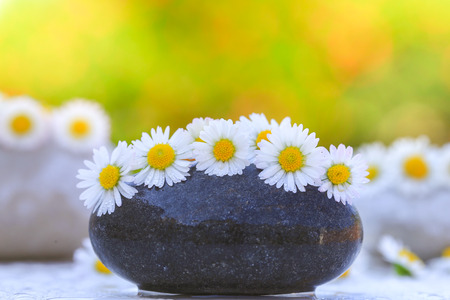 Daisy flowers on stones with colorful bokeh backgroundの写真素材