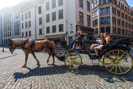 The horse carriage for tourist sightseeing around the city of Viennaのeditorial素材