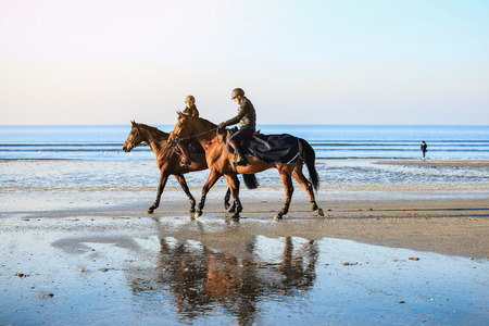 Deauville, France - December 29, 2016 : Selective focus on the man riding horses on the beach in Deauville, Normandy, Franceのeditorial素材
