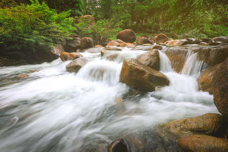 River stream waterfall and tropical forest green treesの写真素材
