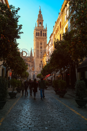Selective focus on Cathedral of Seville Spain with orange trees on streetの写真素材