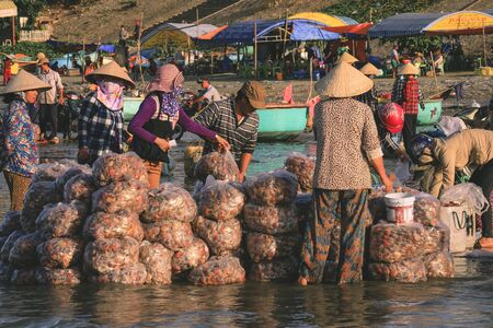 Mui ne Vietnam January 22, 2019 : Vietnamese vendor buy a lot of Scallops form fishermen at fishing village in Mui ne, Vietnamのeditorial素材
